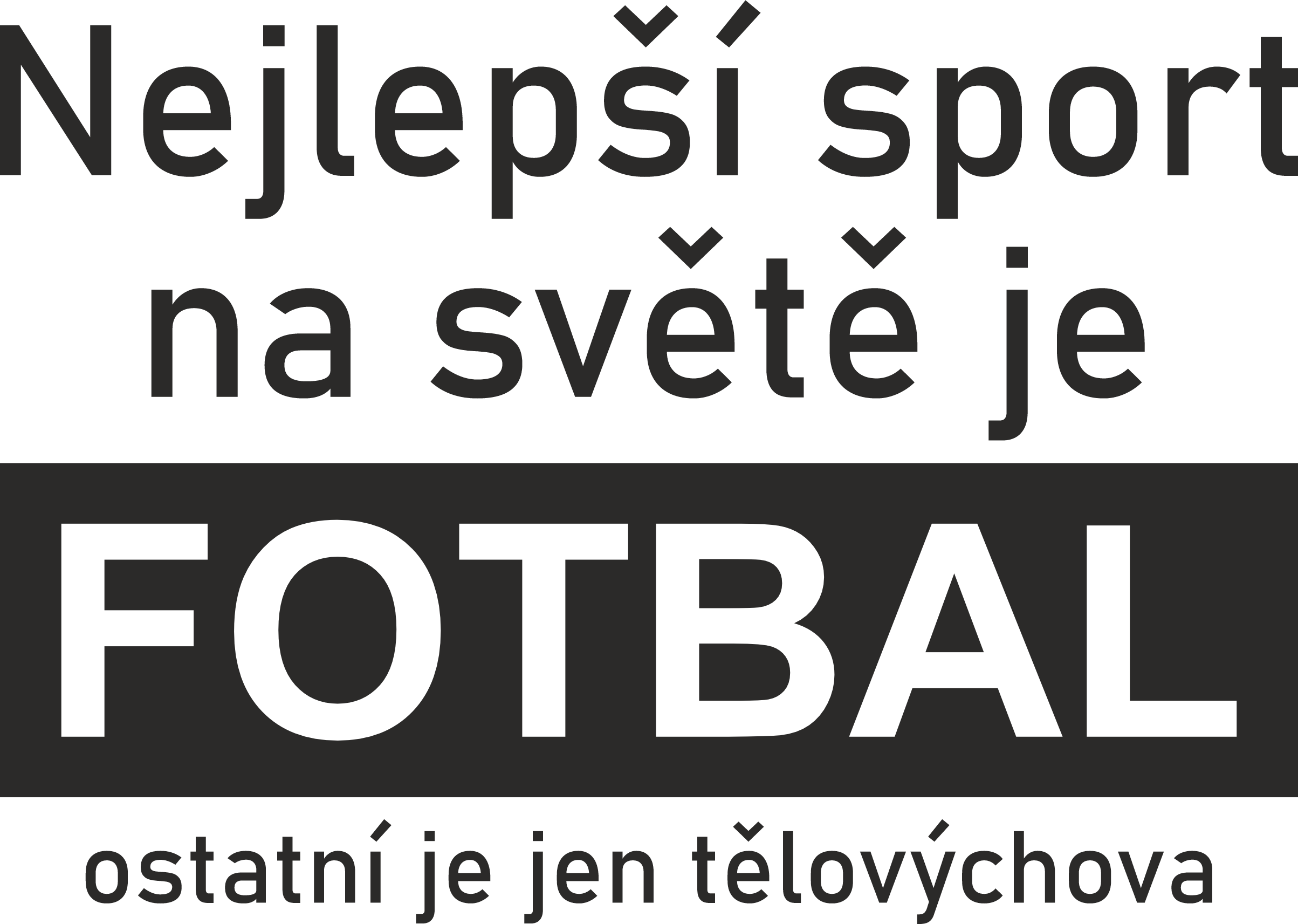 309 Fotbal 2